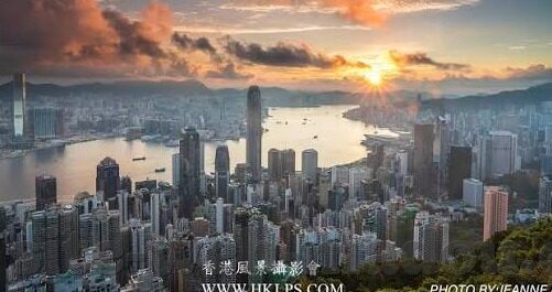麻豆91www-纯美形象下的网络迷思与现实反差