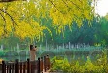 麻豆传媒映画女主角-麻豆传媒映画中的角色光辉，女主角的多元化魅力与艺术呈现