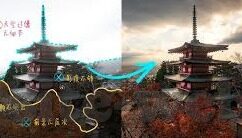 四虎人妻-探索四虎人妻，文化、伦理与个人选择的交织