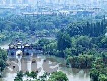 无码专区人妻系列日韩精品-探索成人内容领域的文化与艺术，日韩无码人妻系列之魅力